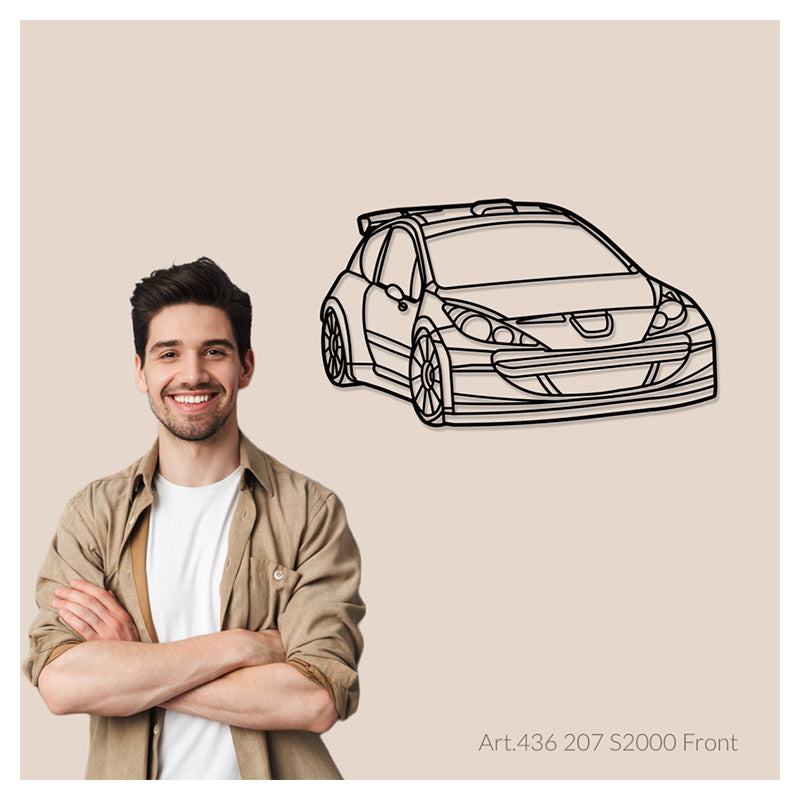 207 S2000 (front) - Metal car silhouette - Ravasicorse