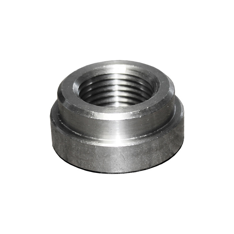 Catalizzatori sportivi - Ravasicorse