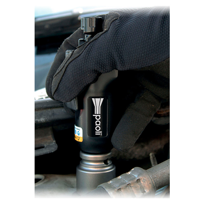 Paoli - Butterfly 3/8" - Ravasicorse