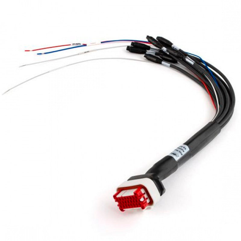 AIM - Cablaggio standard 23 pin - Ravasicorse