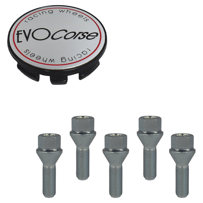 Evocorse - Fixing kit: 1 hubcap (C10), 1 Evocorse brushed badge (L10), 5 lug bolts M14x1.50 (017)