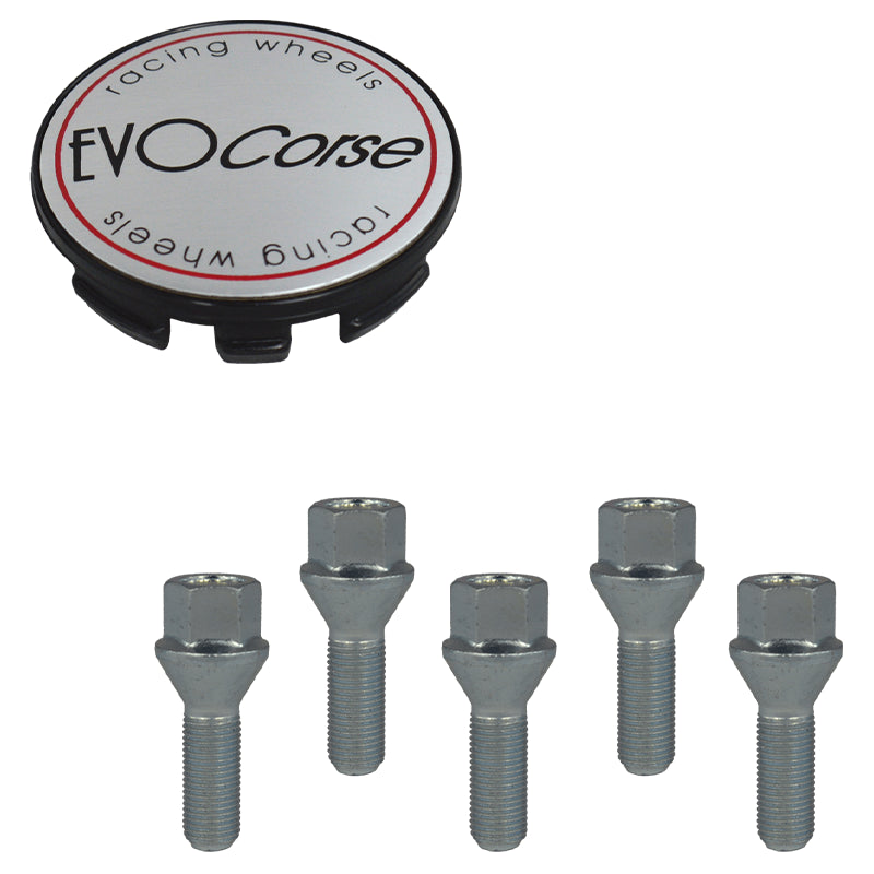 Evocorse - Fixing kit: 1 hubcap (C10), 1 Evocorse brushed badge (L10) 5 lug bolts M14x1.50 (028)