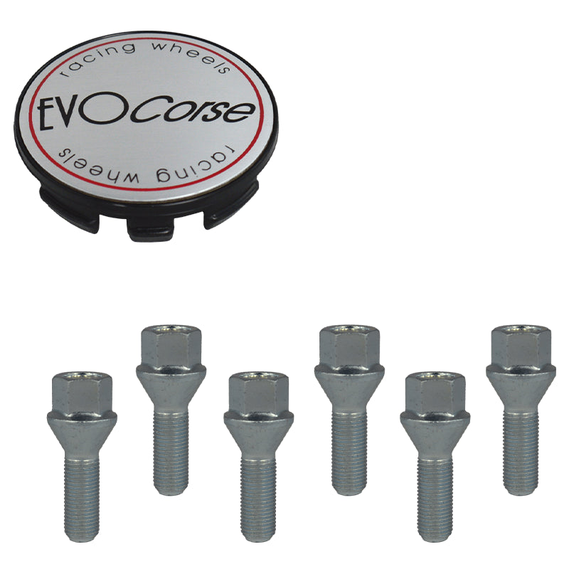 Evocorse - Fixing kit: 1 hubcap (C10), 1 Evocorse brushed badge (L10), 6 lug bolts M14x1.50 (212)