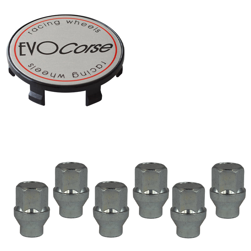 Evocorse - Fixing kit: 1 hubcap (C20), 1 Evocorse brushed badge (L31), 6 closed end lug nut with shank M14x1.5 (zinc. White)(D42)