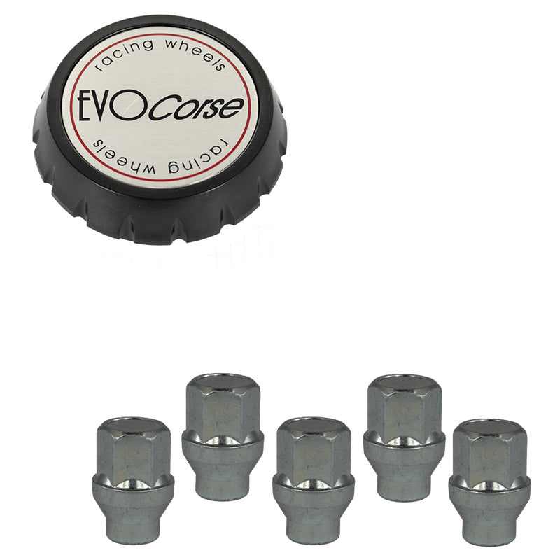 Evocorse - Fixing kit: 1 hubcap (C100), 1 Evocorse brushed badge (L31), 5 nuts 1/2 UNF H34 CH19 (zinc.white)