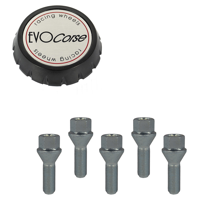Evocorse - Fixing kit: 1 hubcap (C30), 1 Evocorse brushed badge (L50), 5 lug bolts M14x2 (zinc. white)(D5X2)