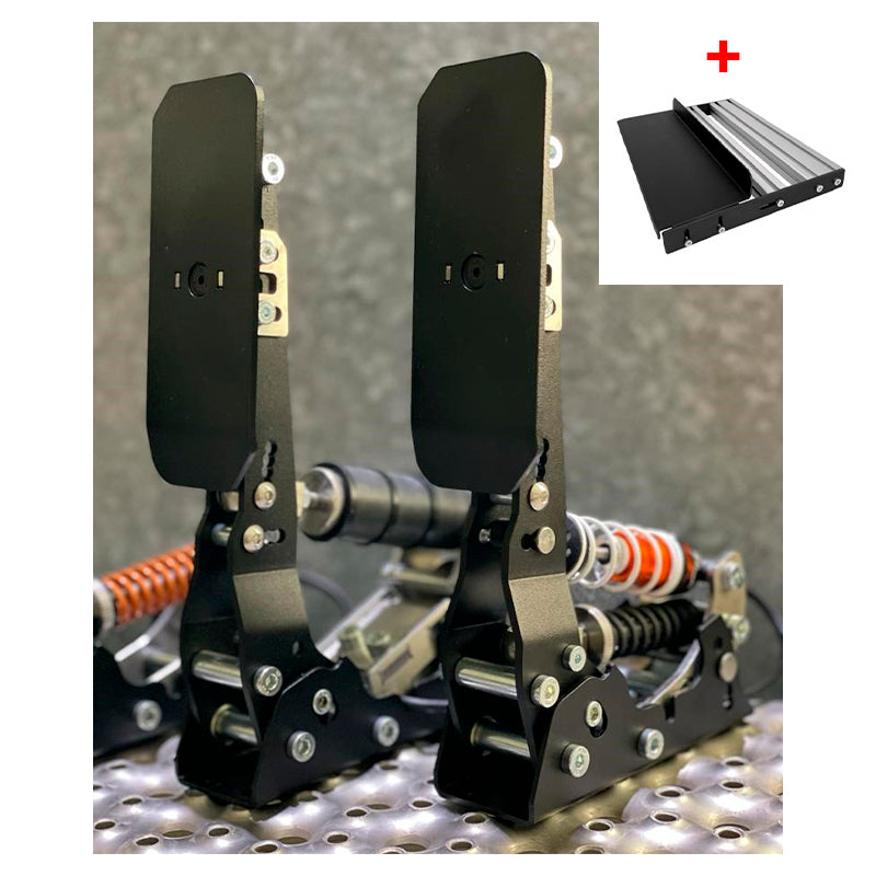 DCSimracing - Set 2 pedali (acceleratore e freno) - Ravasicorse