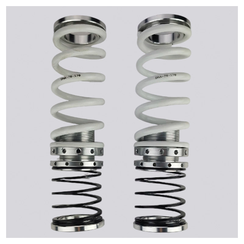 DNA Racing - Ford Fiesta MK7 / MK8 - Kit ammortizzatori WRS