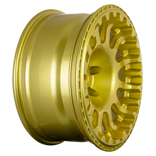 EVOCorse - Atlas NK (gold)