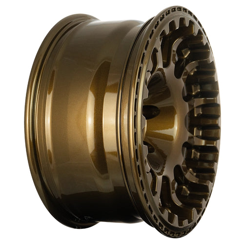 EVOCorse - Atlas NK (shiny bronze)