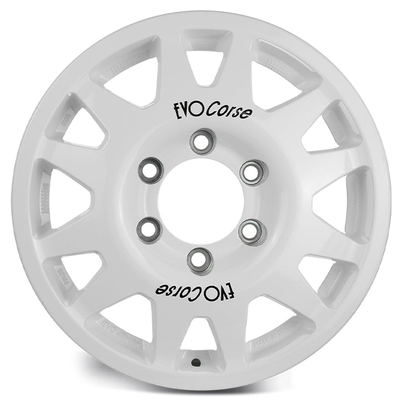 EVOCorse - DakarCorse (white) - Ravasicorse