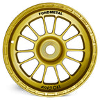 EVOCorse - FormulaCorse (gold) - Ravasicorse