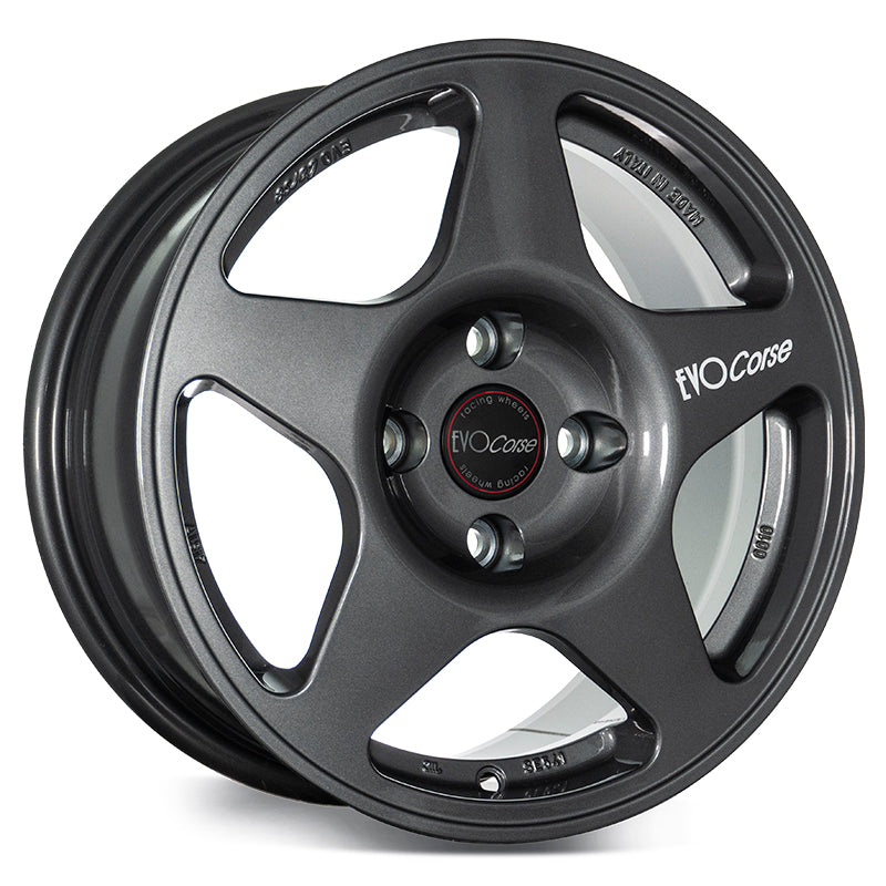 EVOCorse - Lion V39 (shiny anthracite) - Ravasicorse