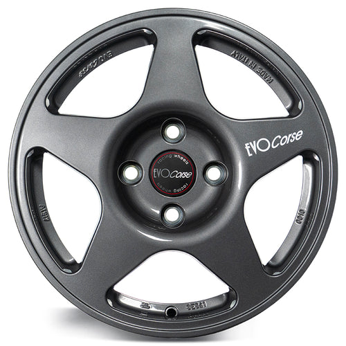 EVOCorse - Lion V39 (shiny anthracite) - Ravasicorse