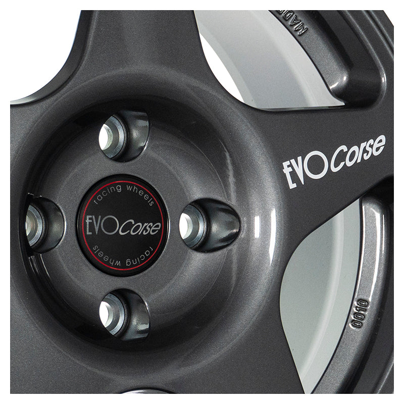 EVOCorse - Lion V39 (shiny anthracite) - Ravasicorse