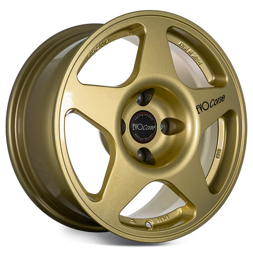 EVOCorse - Lion V39 (gold) - Ravasicorse
