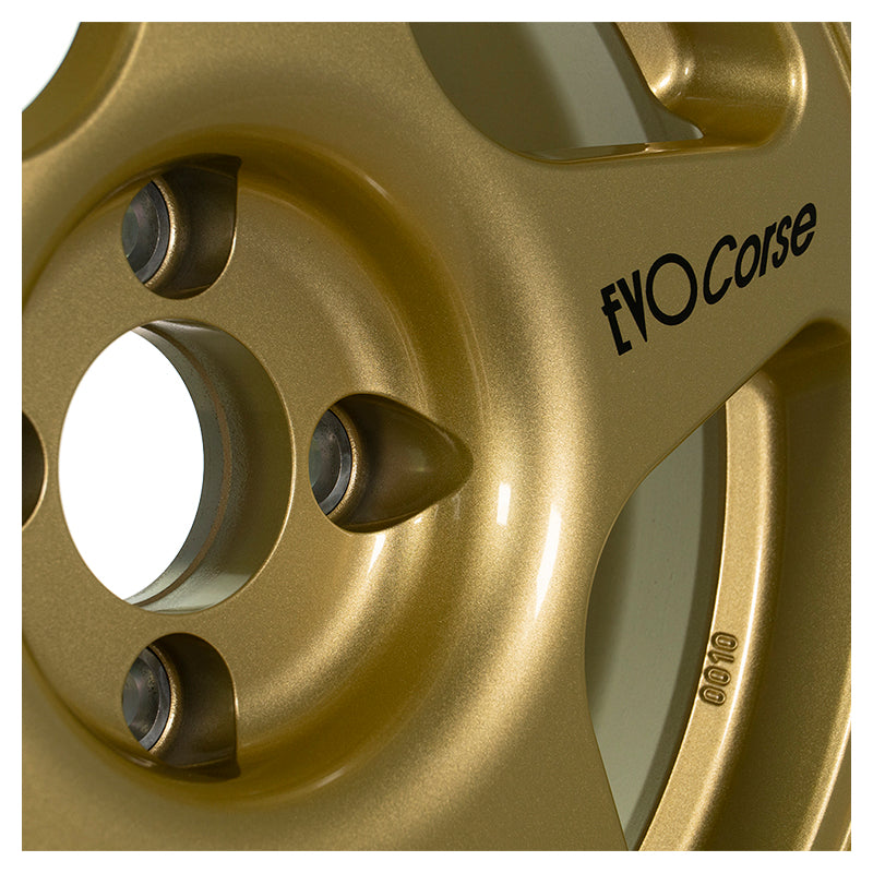 EVOCorse - Lion V39 (gold) - Ravasicorse