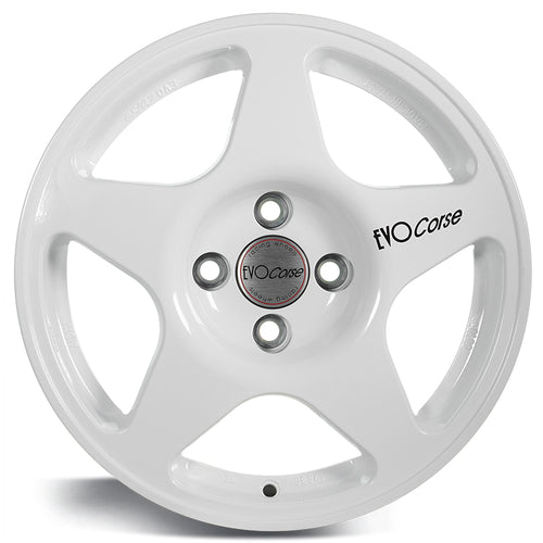 EVOCorse - Lion V39 (white) - Ravasicorse