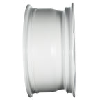EVOCorse - Lion V39 (white) - Ravasicorse
