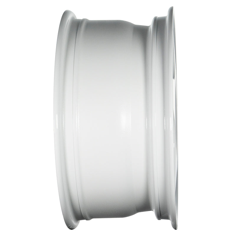EVOCorse - Lion V39 (white) - Ravasicorse