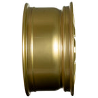 EVOCorse - Sanremo 15" (gold) - Ravasicorse