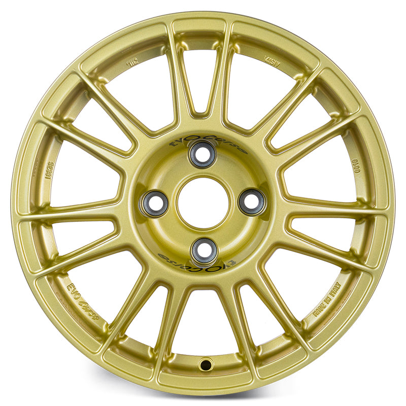 EVOCorse - X3MA (gold) - Ravasicorse
