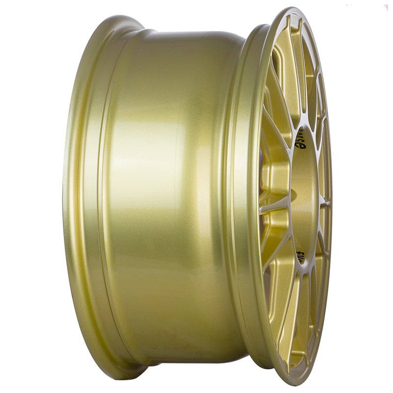 EVOCorse - X3MA (gold) - Ravasicorse