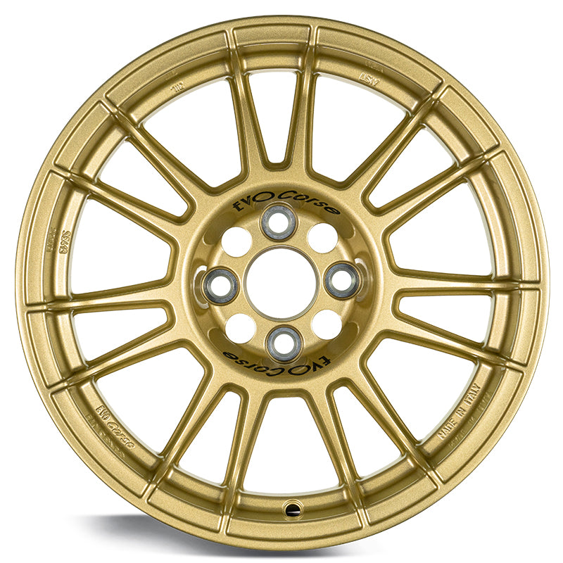 EVOCorse - X3MAZero (gold) - Ravasicorse
