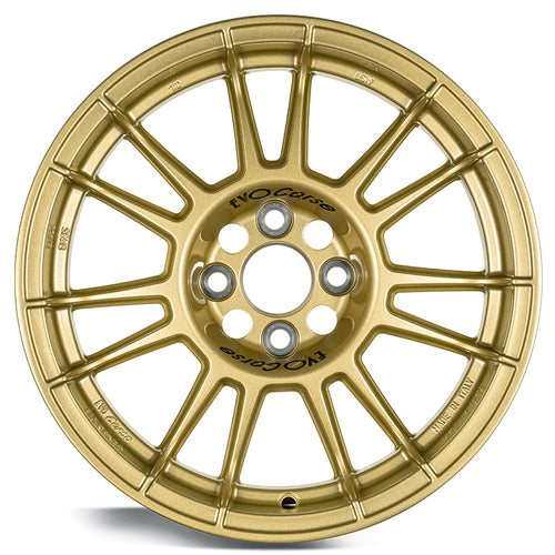 EVOCorse - X3MAZero (gold) - Ravasicorse