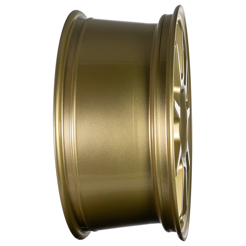 EVOCorse - Z.A.R. 18" (gold) - Ravasicorse
