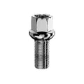 Vite sede sferica chiave SW17, raggio 13, 14 x 1.5 x 27 mm Hollow Head - Silver - Ravasicorse