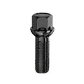 Vite sede sferica chiave SW17, raggio 13, 14 x 1.5 x 45 mm - Black - Ravasicorse