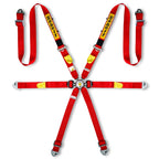 Cintura Sabelt - 6 punti Enduro FIA 8853-2016 (red)