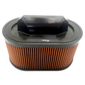 Sprint Filter Filtro aria sportivo C1099S