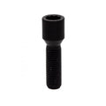 Vite stellari chiave SW20, sede conica 60°, 12 x 1.25 x 28 mm - Black - Ravasicorse