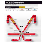 Cintura Sabelt - 6 punti Endurance FIA 8853-2016 (blue) - Ravasicorse