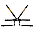 Cintura Sabelt - 6 punti Formula FIA 8853-2016 (black) - Ravasicorse