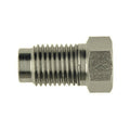Goodridge - Dado maschio (N8000) - Ravasicorse