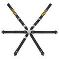 Cintura Sabelt - 6 punti GT per Porsche 911-984 / GT4 (black) - Ravasicorse