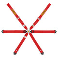 Cintura Sabelt - 6 punti GT per Porsche 911-984 / GT4 (red) - Ravasicorse