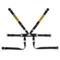 Cintura Sabelt - 6 punti Formula basic FIA 8853-2016 (black - CCS622FNUN) - Ravasicorse