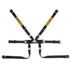 Cintura Sabelt - 6 punti Formula basic FIA 8853-2016 (black - CCS622FNUN) - Ravasicorse
