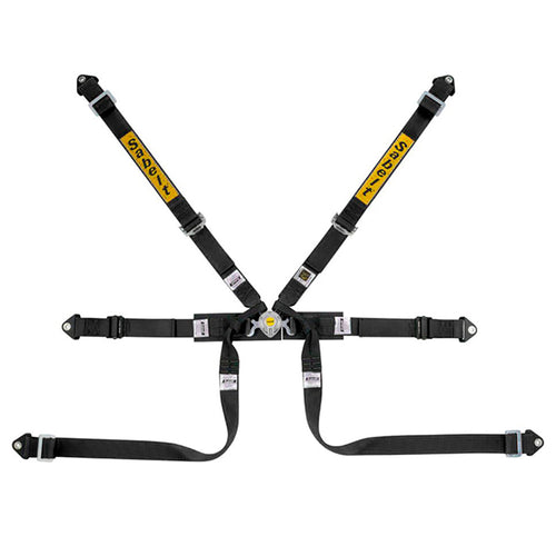 Cintura Sabelt - 6 punti Formula basic FIA 8853-2016 (black - CCS622FNUN) - Ravasicorse