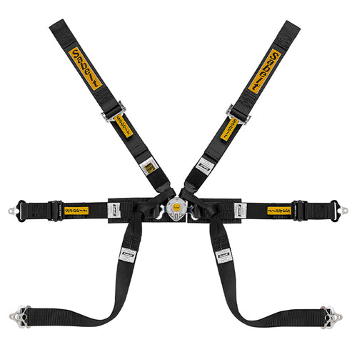 Cintura Sabelt - 6 punti Formula mid FIA 8853-2016 (black - CCS622FNUN1) - Ravasicorse