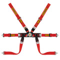 Cintura Sabelt - 6 punti Formula mid FIA 8853-2016 (red - CCS622FRUN1) - Ravasicorse