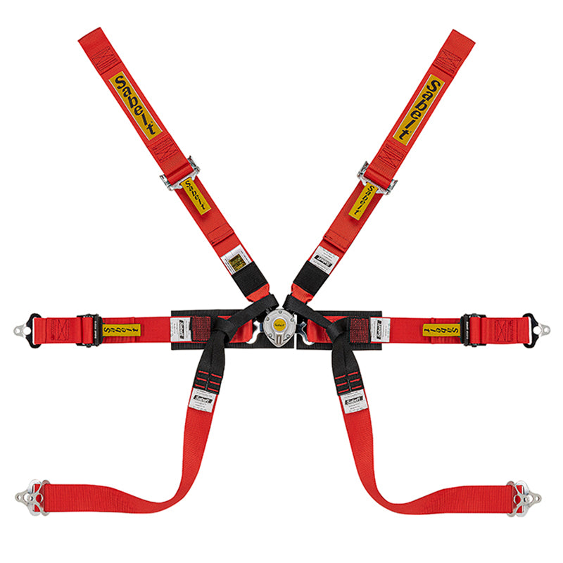 Cintura Sabelt - 6 punti Formula mid FIA 8853-2016 (red - CCS622FRUN1) - Ravasicorse