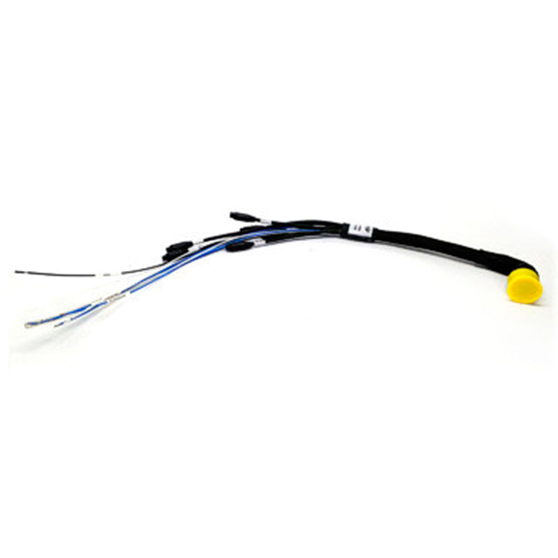 AIM - Cablaggio 22 pin - Ravasicorse