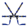 Cintura Sabelt - 6 punti Formula mid FIA 8853-2016 (blue - CCS622FBUN1) - Ravasicorse